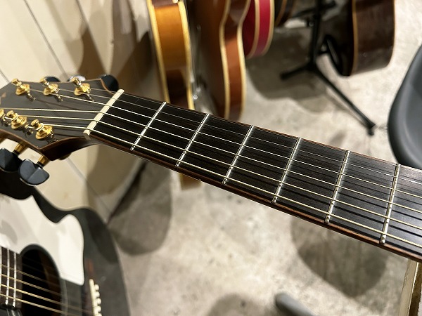 MORRIS FH-101 オール単板モデル - Teenarama! Used Guitar - 中古